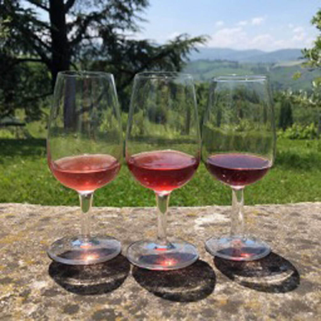 Barbera Rifermentato prove tecniche